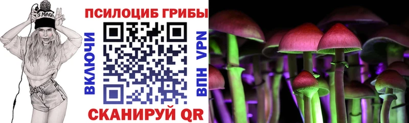 сайты даркнета официальный сайт Тулун Галлюциногенные грибы Psilocybe